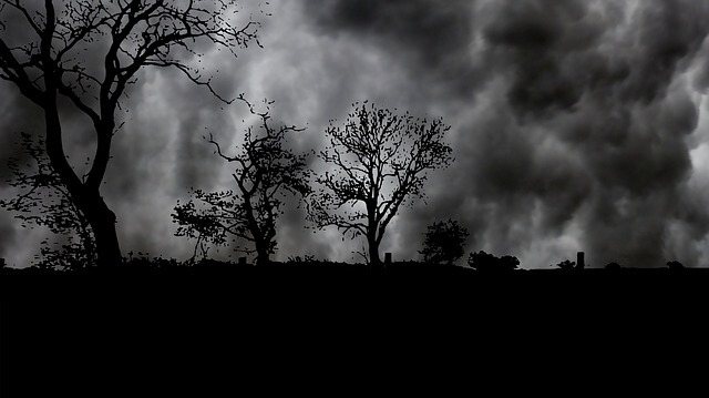 Charcoal black clouds with some white highlights fill the sky. Down below the earth is dark and solid black, with one scraggly tree and two bushes rising up, poking their bare branches against the roiling background of the sky.