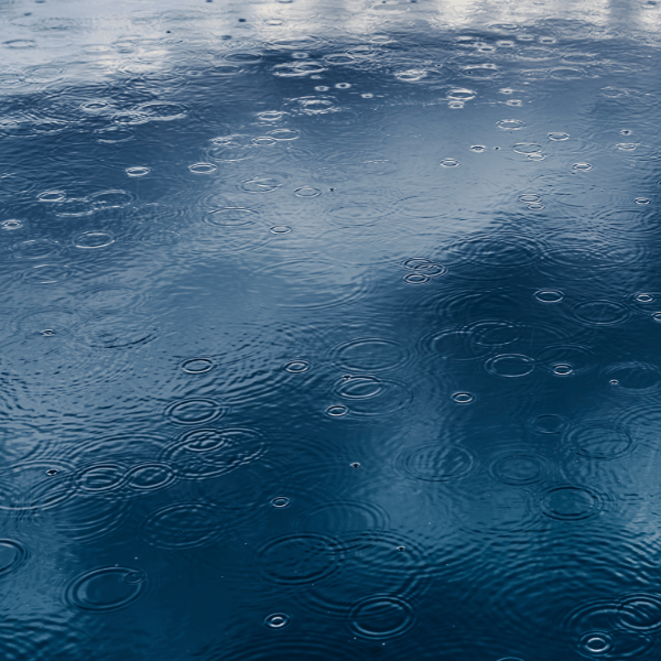 Raindrops splashing down on the surface of the water making ripples, some large , some small. In this photo, the water is a deep blue with shadows of light here and there. In the poem, the lake was actually grey because the day was totally grey.