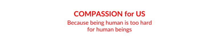 Book title: Compassion for Us, because being human is too hard for human beings